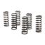 Picture of Wiseco Transmission Clutch Spring - CSK002