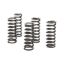Picture of Wiseco Transmission Clutch Spring - CSK004