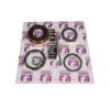 Picture of Yukon Gear and Axle Differential Rebuild Kit - MK T8.75
