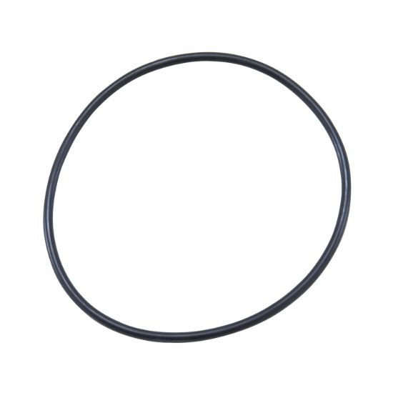 Picture of Yukon Gear and Axle Differential Housing O-Ring - YMS242