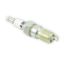 ACCEL PLUGS DBL PLAT SHRTY PLG - P526S