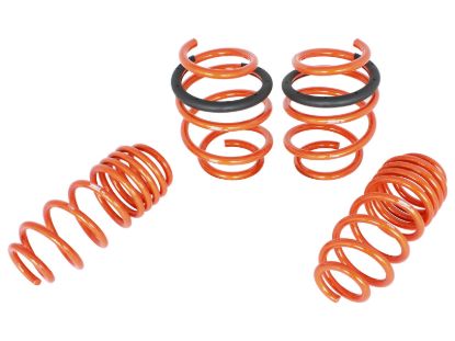 AFE AFE CONTROL LOWERING SPRINGS - 410701001N
