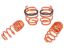 AFE AFE CONTROL LOWERING SPRINGS - 410701001N