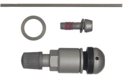 SCHRADER S PACK BERU SENSOR SILVER - 20037