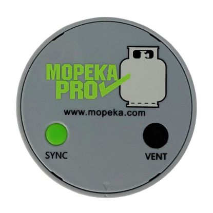 AP PRODUCTS LP TANK CHECK PRO W/MAGNET - 0242002