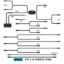 ARC LIGHTING STROBELINK WIRING HARNESS - BB8KB10