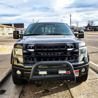 AMERICAN MOD ARMOR GRILLE W/ LED OFF-ROAD LIGHTS - MFMAA00129