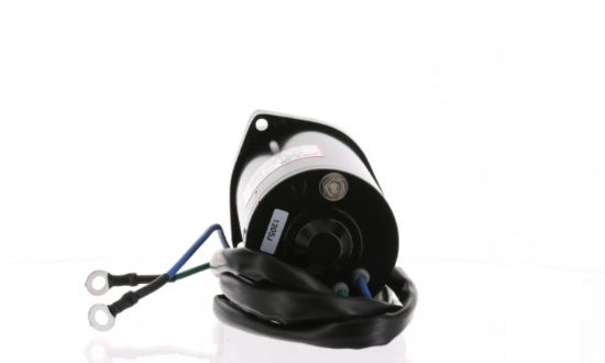 ARCO MARINE TILT MOTOR - 6259