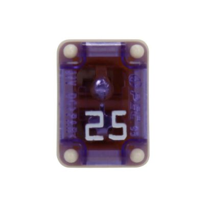 BUSSMANN MICRO FEMALE TIME DELAY F - FMM25
