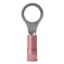 ANCOR NYLON RING TERMINAL  22-18 1/4'  25 - 210204
