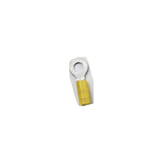 ANCOR NYLON RING TERMINAL  12-10 #8  25PC - 210222