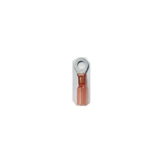 ANCOR HEAT SHRINK RING TERMINAL  22-18 #1 - 310399