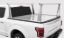ACCESS F-150 6' 6' BOX & 04 HERITAGE - F2010071