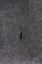 BEDRUG BEDRUG BEDLINER - BRB23CCK