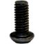 CROWN AUTO SS TORX BOLT - 4004956SS