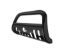 BLACK HORSE BULL BAR 2001 FORD - BFOB2801SP