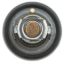 MOTOR RAD AM THERMOSTAT - 333198
