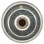 MOTOR RAD AM THERMOSTAT - 335192