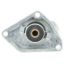 MOTOR RAD AM THERMOSTAT - 343180