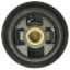 MOTOR RAD AM THERMOSTAT - 423195