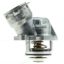 MOTOR RAD AM THERMOSTAT - 668212