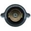 MOTOR RAD AM OIL CAP - MO66