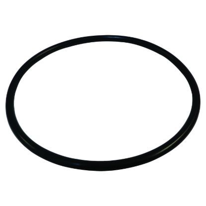 CROWN AUTO FUEL MODULE SEAL - 55366298AA