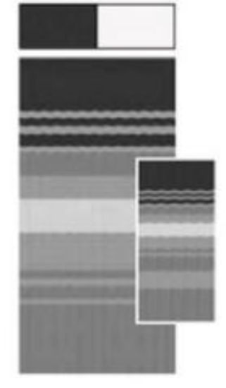 CAREFREE/CO. FIESTA-BLK 12'DSBG DBG - 86128D8D