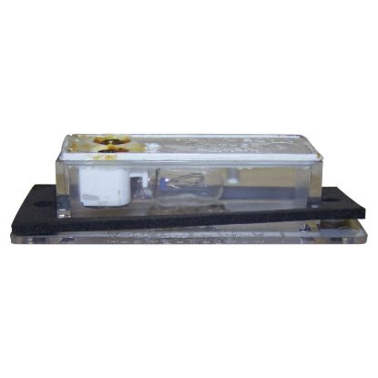 CROWN AUTO LIC LAMP - J3670544