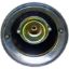 CROWN AUTO GAS CAP - J8123141
