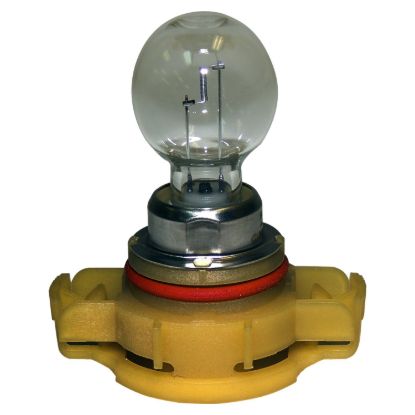 CROWN AUTO FOG LIGHT BULB - L000PSX24W