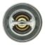 MOTOR RAD AM THERMOSTAT - 202192