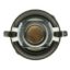 MOTOR RAD AM THERMOSTAT - 207192