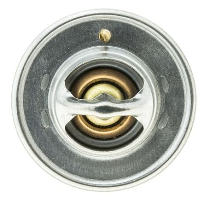 MOTOR RAD AM THERMOSTAT - 228180JV