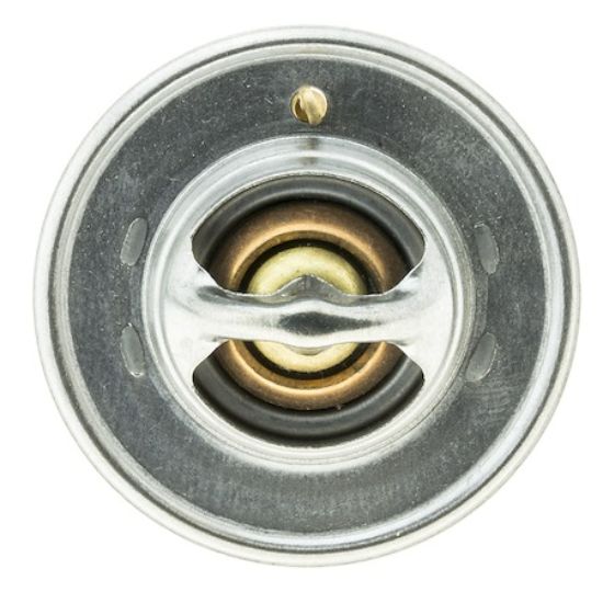 MOTOR RAD AM THERMOSTAT - 228195JV