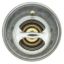 MOTOR RAD AM THERMOSTAT - 240180
