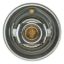 MOTOR RAD AM THERMOSTAT - 244180