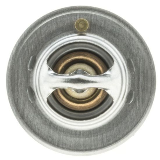 MOTOR RAD AM THERMOSTAT - 319180