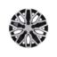 COAST2COAST WC 10 U SPOKE  SIL/BLK  16' SET 4 - 105116SB