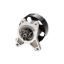 DAYCO WATER PUMP KIT - DP459