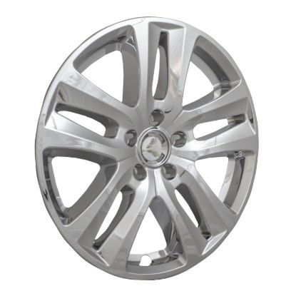 COAST2COAST WS 18-19 EXPLOR CHRM 18' 5 SPL SP - IMP441X