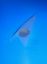 DR.SHRINK 12-ML TRIANGULAR CLEAR PLASTIC VENT - DSSCOOP