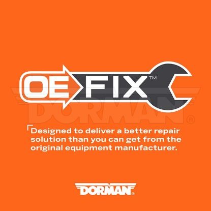 DORMAN BRAIDED SS FUEL LINE - 819812