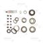 DANA SPICER DIFFERENTIAL BEARING KIT - 2017109