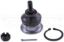 DORMAN BALL JOINT - BJ59026XL