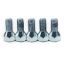 DEXTER AXLE DEXTER WHEEL BOLT - 00704000