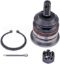 DORMAN BALL JOINT - BJ69006XL