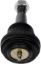 DORMAN BALL JOINT - BJ81166PR