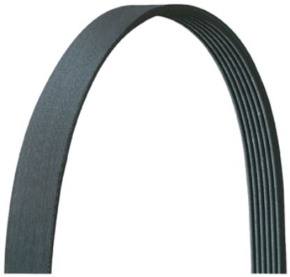 DAYCO SERPENTINE BELT - 5040315DR