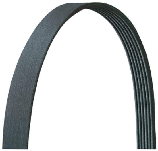 DAYCO SERPENTINE BELT - 5040315DR